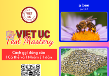 VietUc Test Mastery